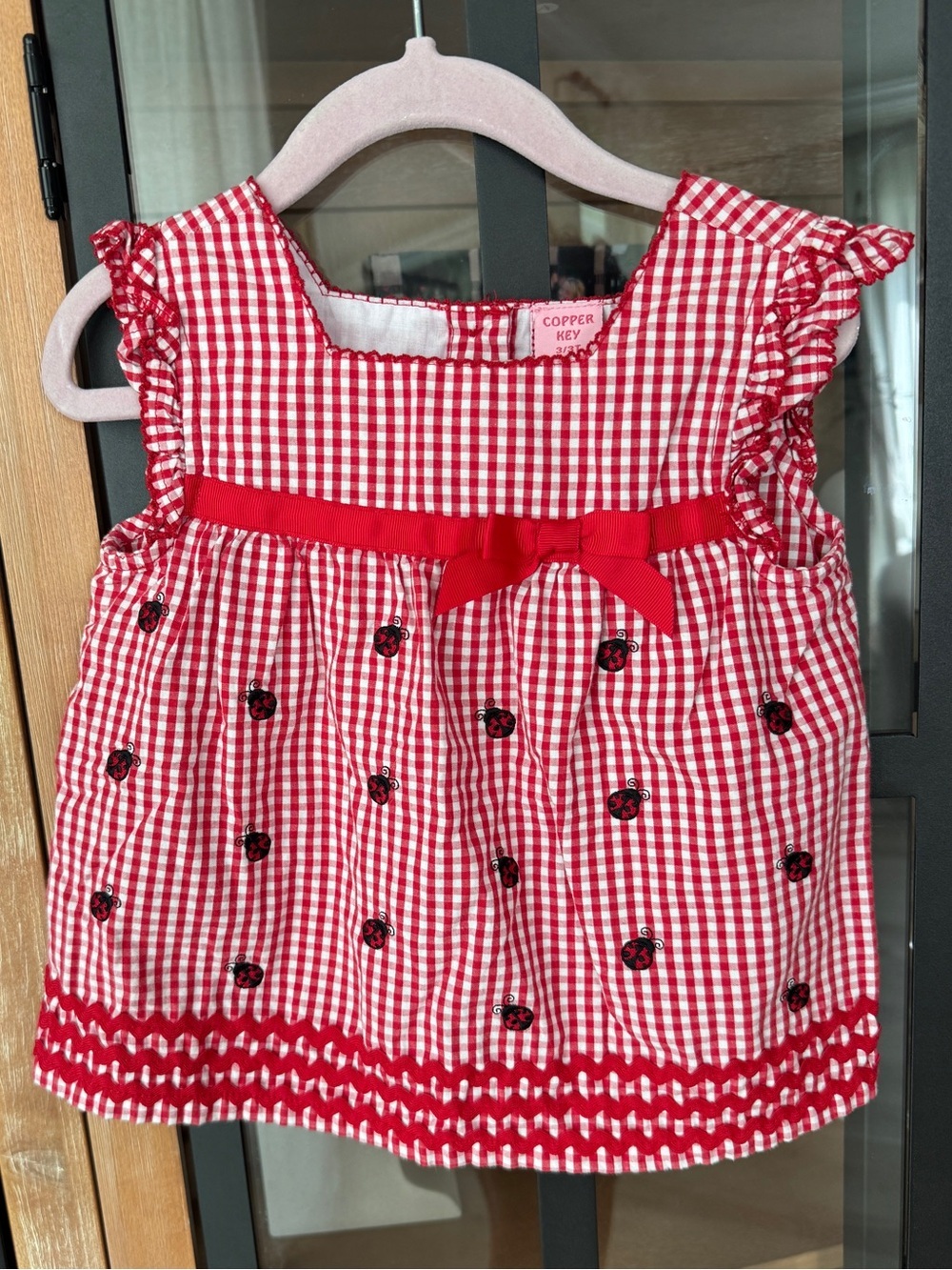 Y2k Ladybug dress embroidered gingham top toddler girl ruffle bow